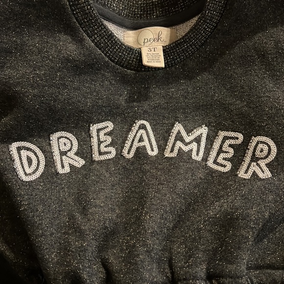 Peek Dreamer Sweatshirt Dress (3T) - Picture 3 of 3